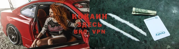 ешки Алзамай