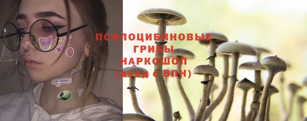 прущий лед Алексин