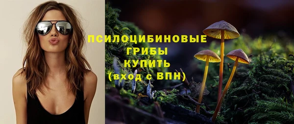 соль курить ск Алексеевка