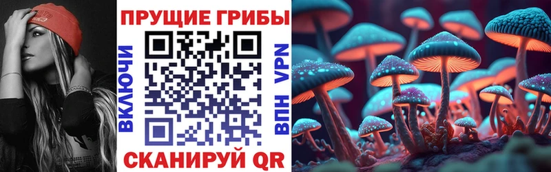 Галлюциногенные грибы мицелий Ермолино